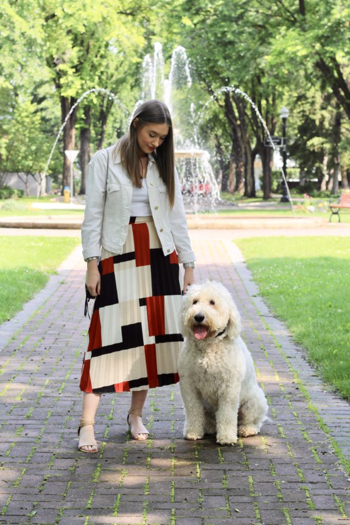 Outfit of the day with zara denim jacket and simons geometric midi skirt with Oakley the Goldendoodle