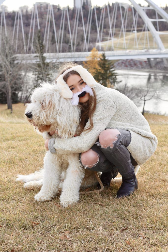 goldendoodle halloween costume