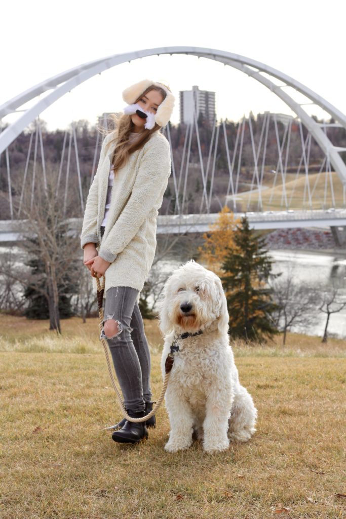 goldendoodle halloween costume