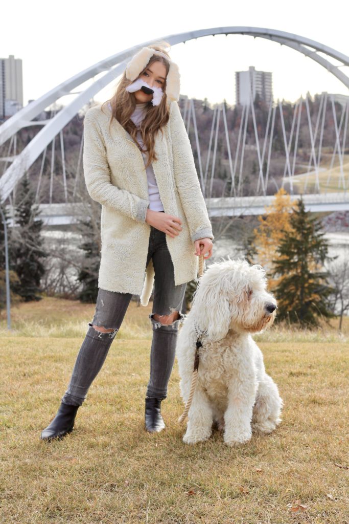 goldendoodle halloween costume