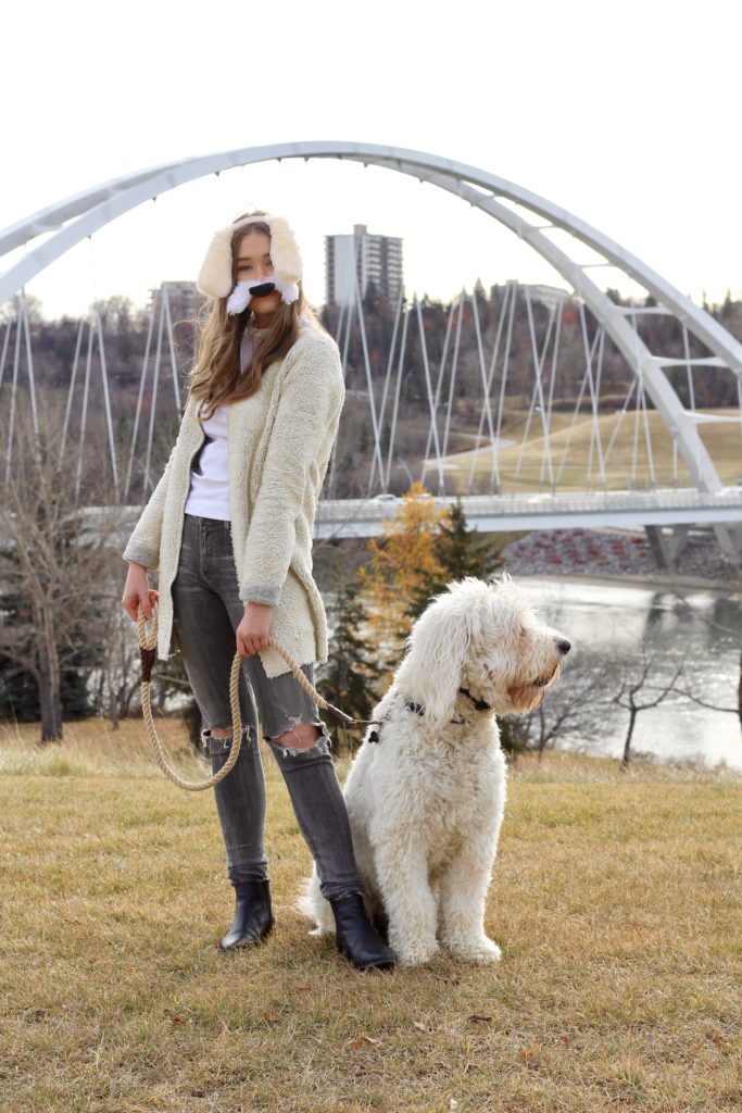 goldendoodle halloween costume