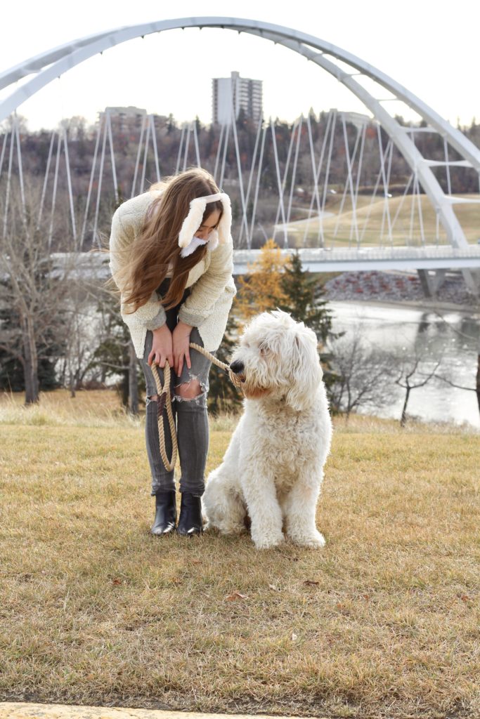 goldendoodle halloween costume