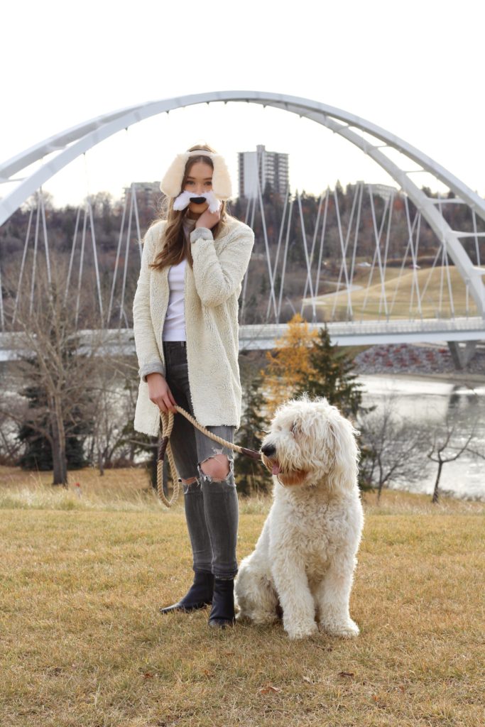 goldendoodle halloween costume