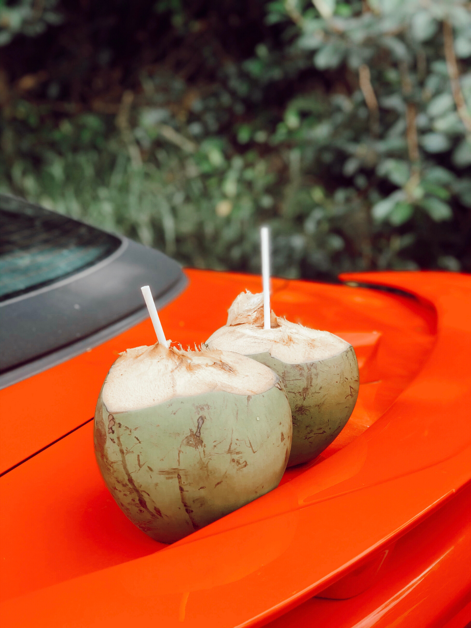 Coconuts to drink in maui