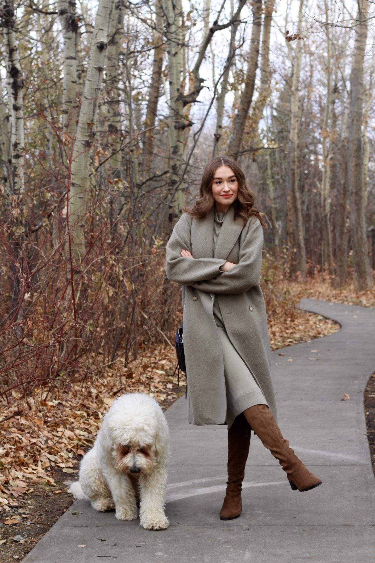 Aritzia Wilfred Charlize coat and Wilfred Cyprie Dress in dry basil green