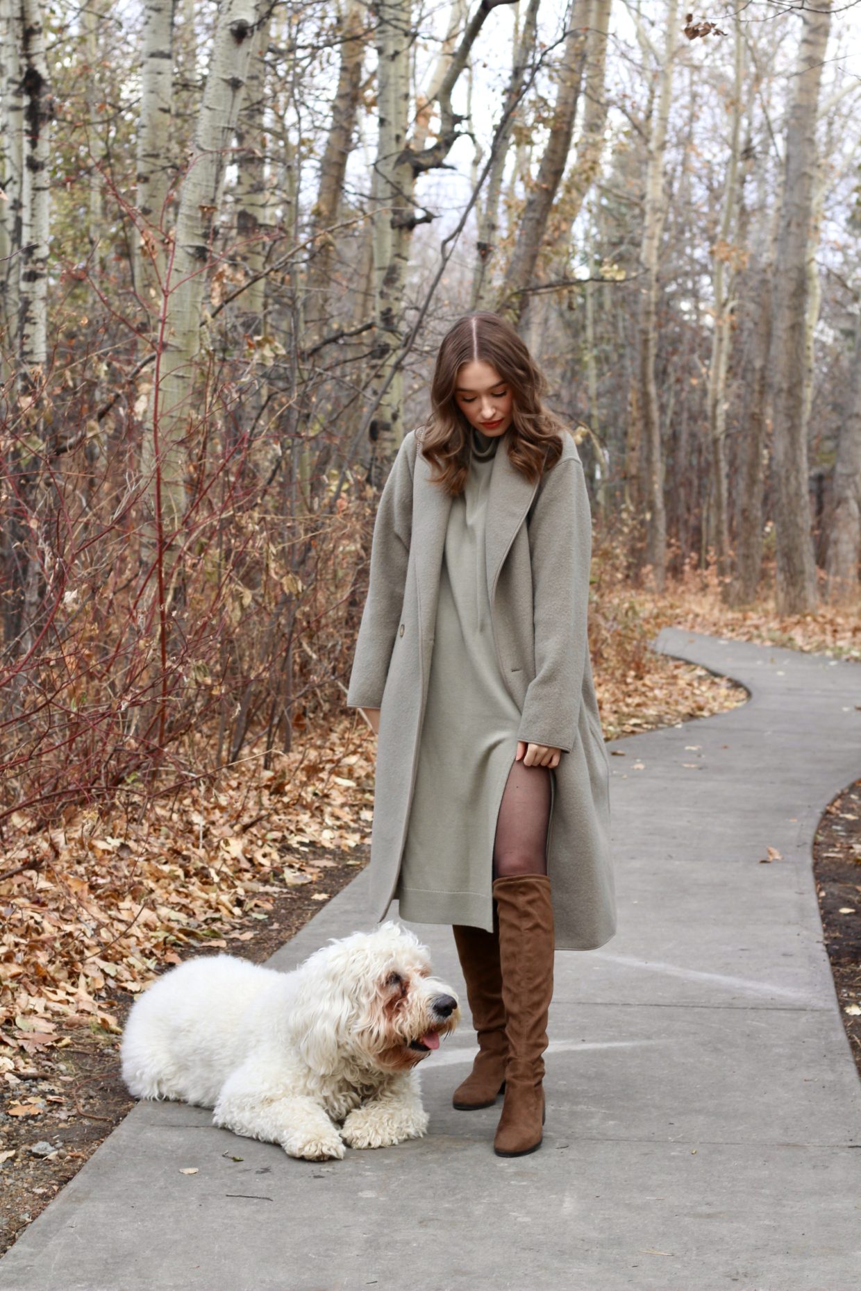 Aritzia Wilfred Cyprie Dress in dry basil green