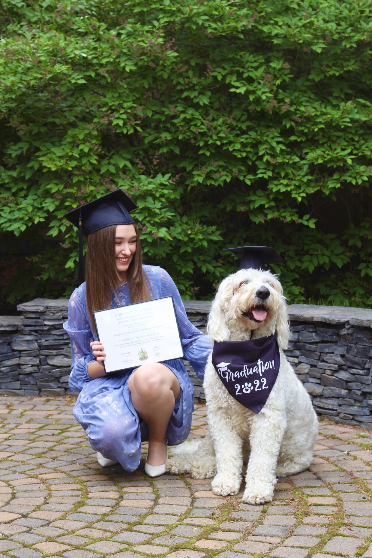 dog graduation outfit