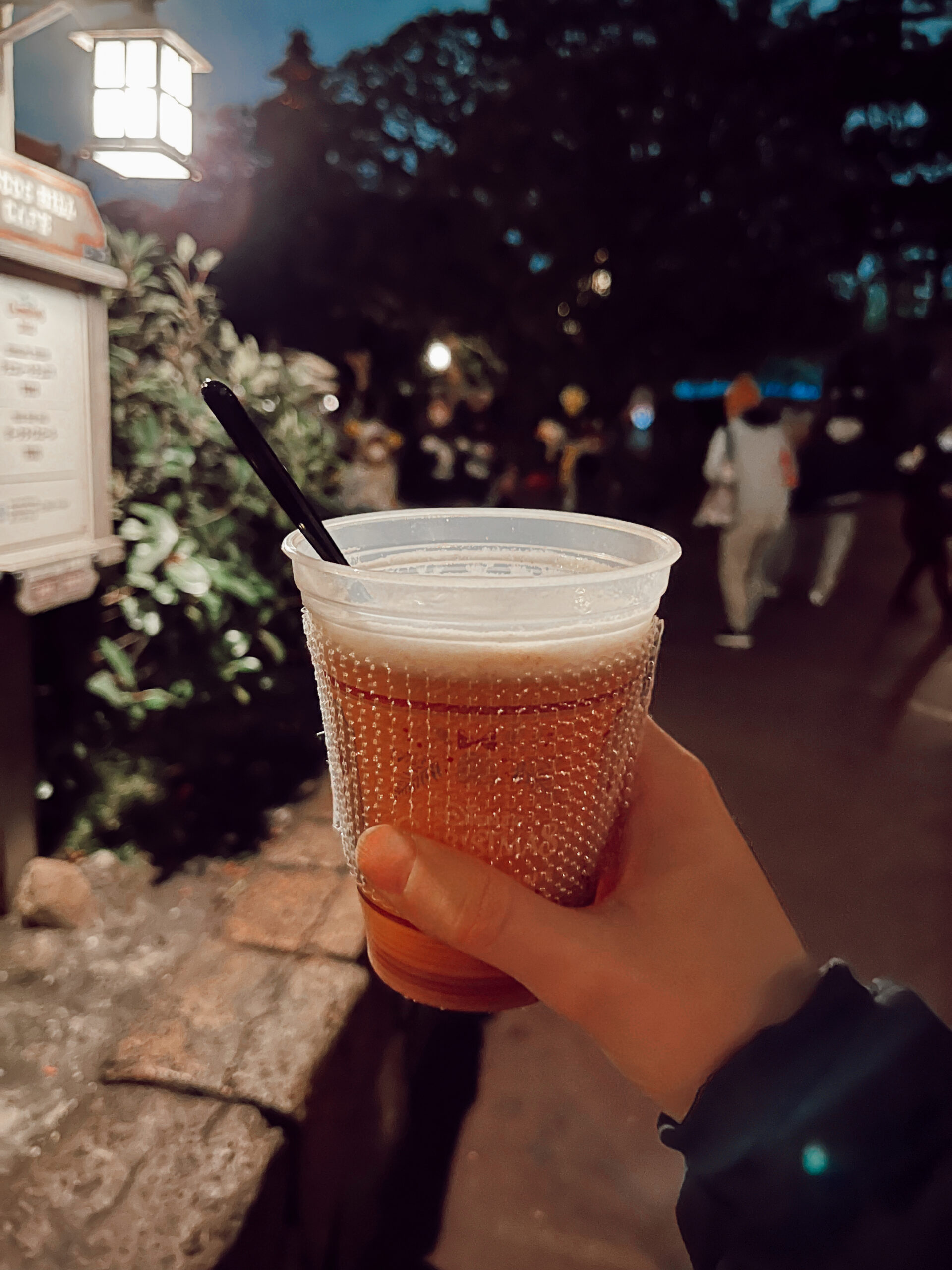 Tokyo Disneyland food