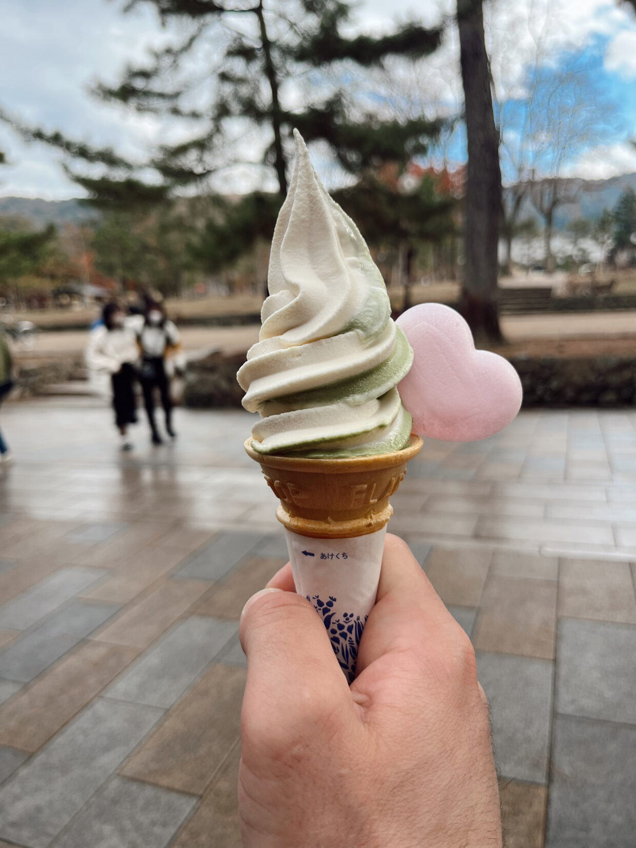 what to eat in nara