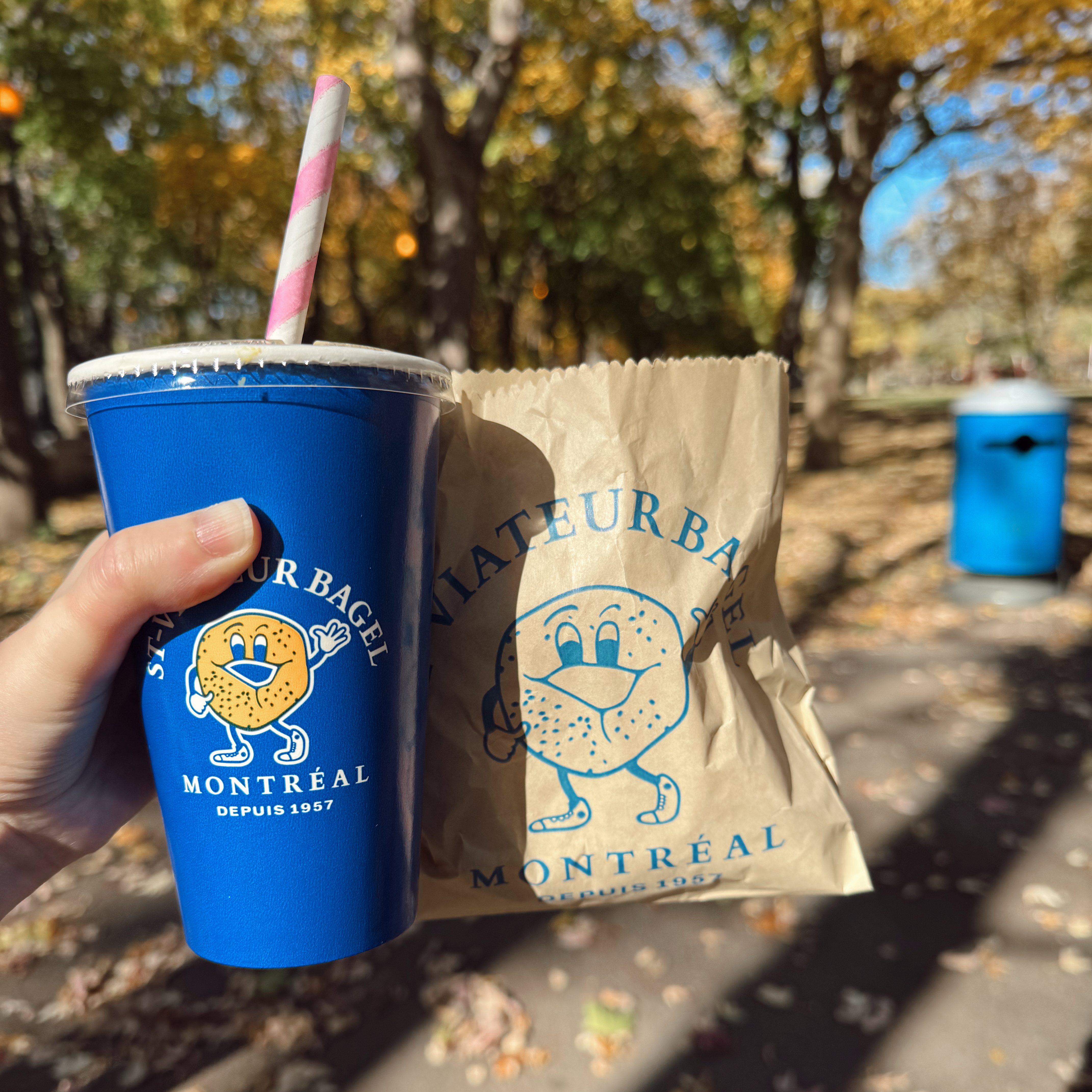 best bagels in montreal