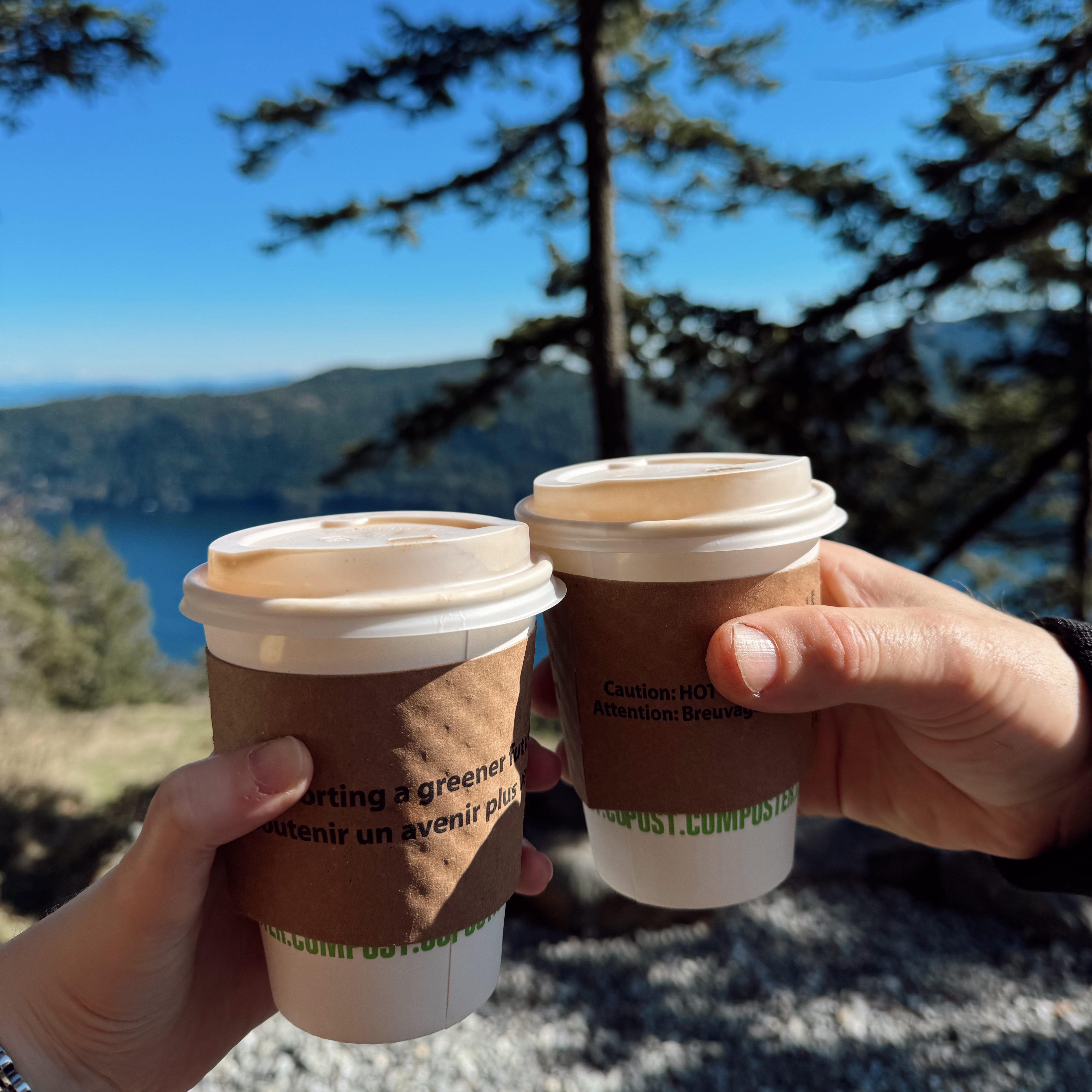 Malahat Skywalk Victoria coffee